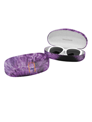 Portalentes Estuche Anteojos